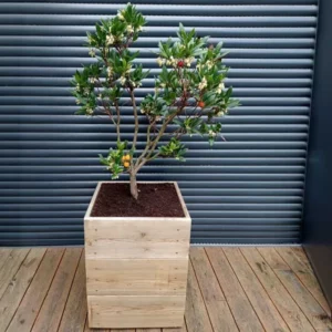 Étape 5 de l'installation du procédé Jardian Case : Plantation