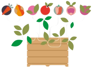 Illustration colorée d'un bac potager Jardian Case avec fruits et légumes
